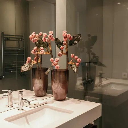 度假居 Foz Do Ave Garden House 孔迪镇