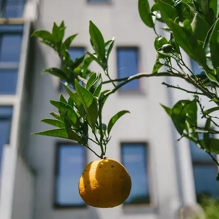 بيت للعطل Foz Do Ave Garden House فيلا دو كوندي